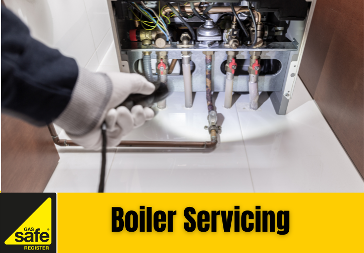 boiler service Sale