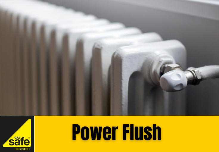 power flush Sale